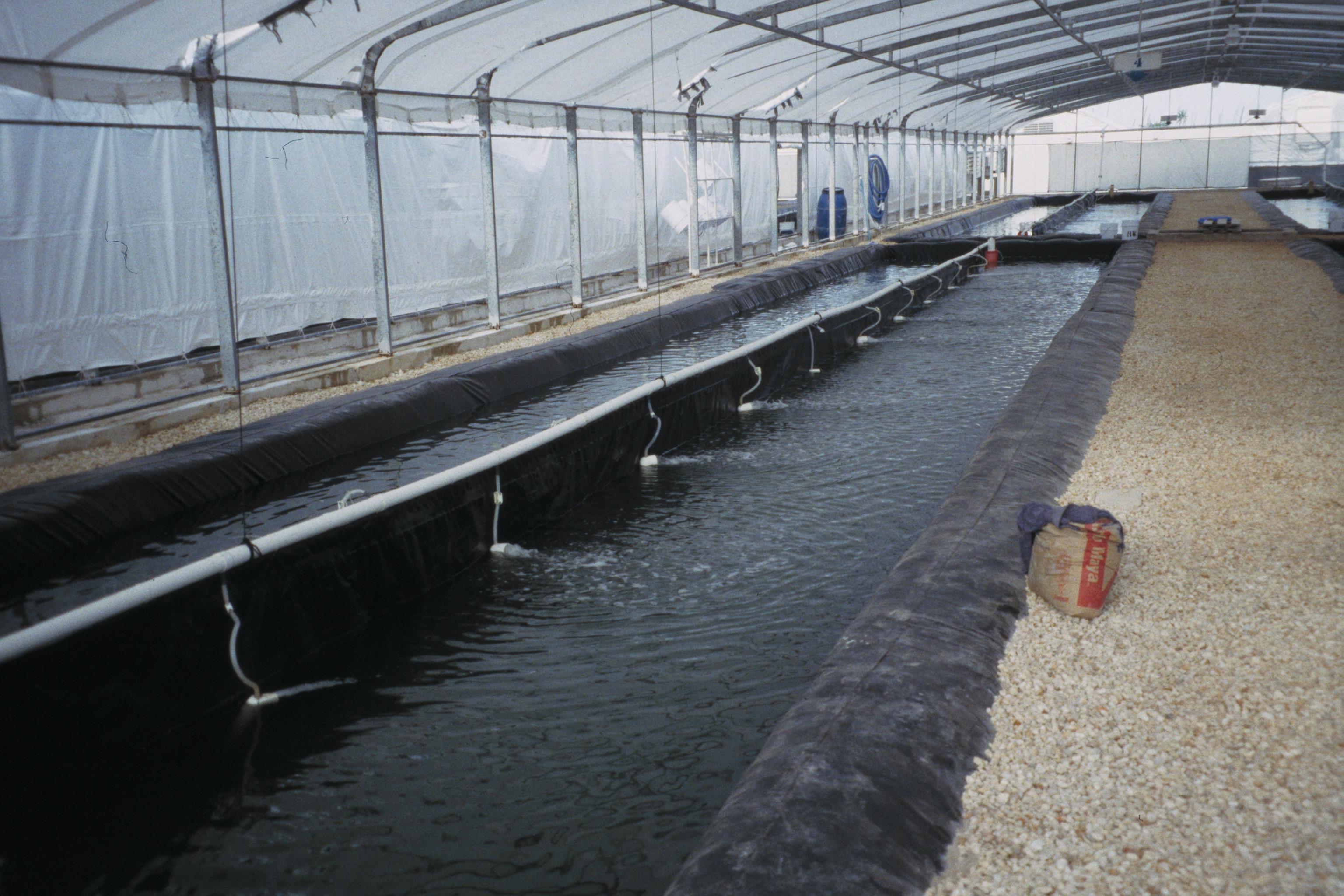 Aquaculture 03.jpg