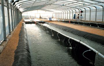 Aquaculture Drop In Tank Liners