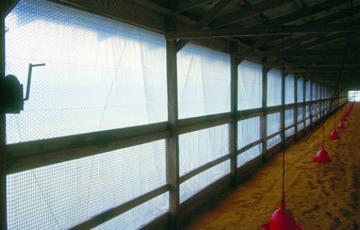 Poultry Curtains